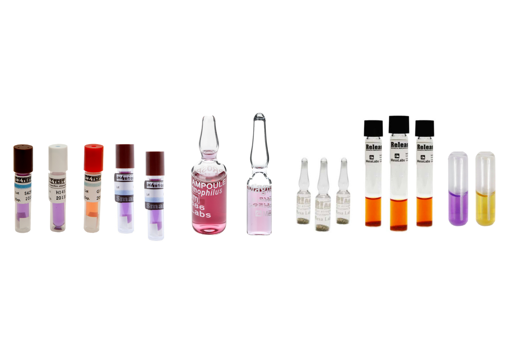 EZTest, Smartread EZTest, ProSpore, MagnaAmp, DriAmp Releasat, StrerilAmp